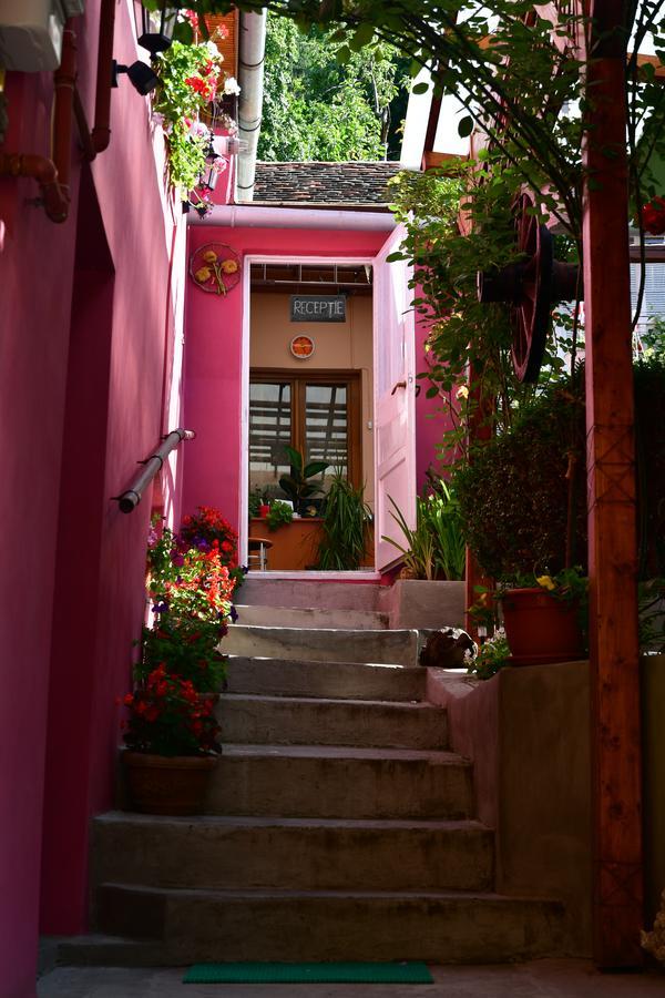 Pensiunea Cristina Si Pavel Sighişoara Exterior foto